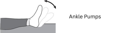Ankle Pumps Exercise